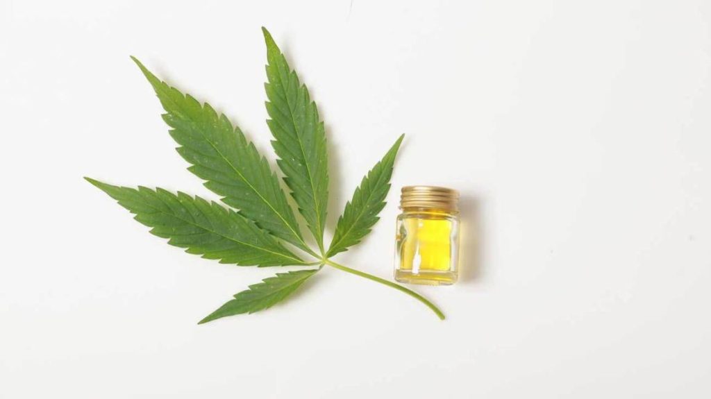 cbd-oil-cannabis-leaf